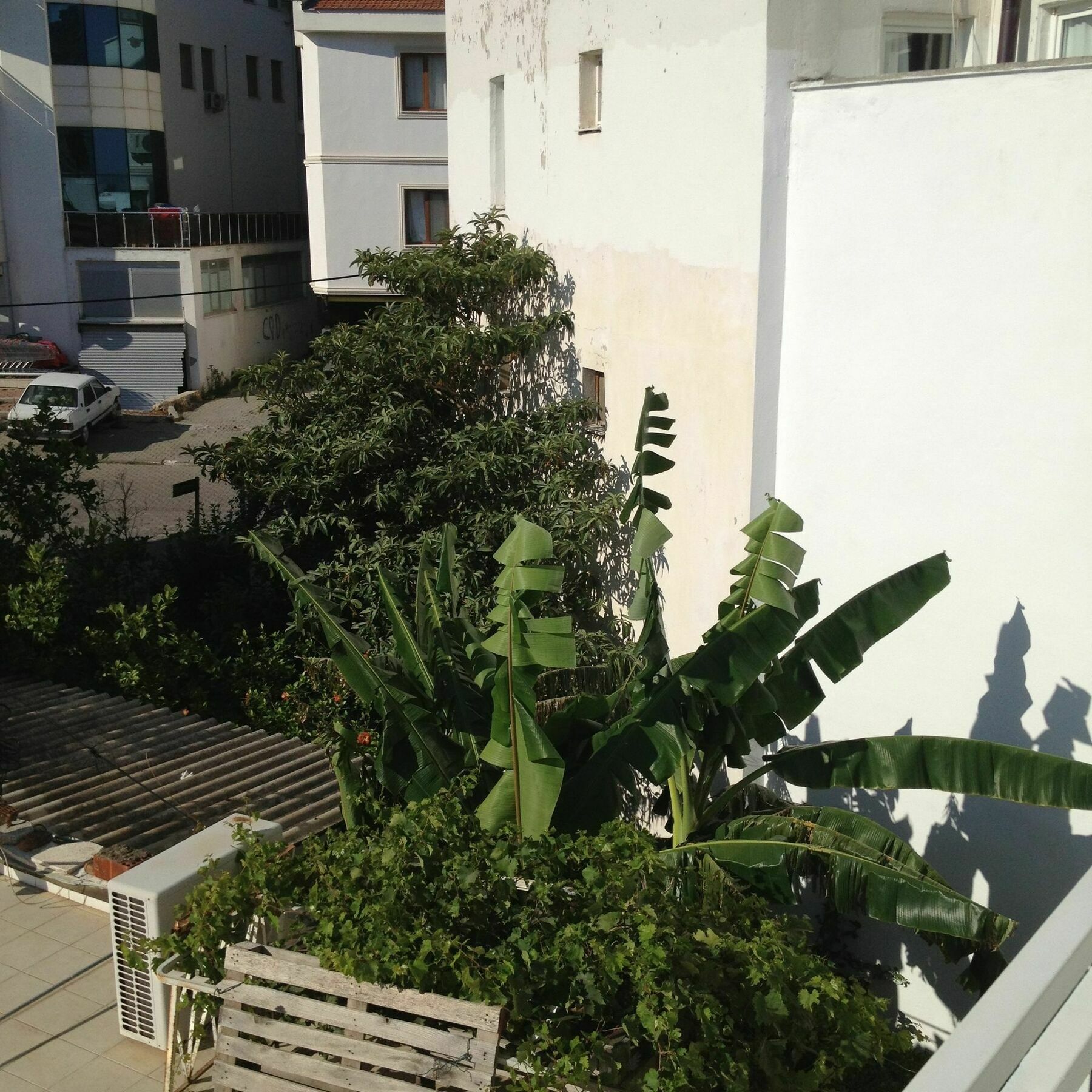 Ata Apart داتْشا المظهر الخارجي الصورة